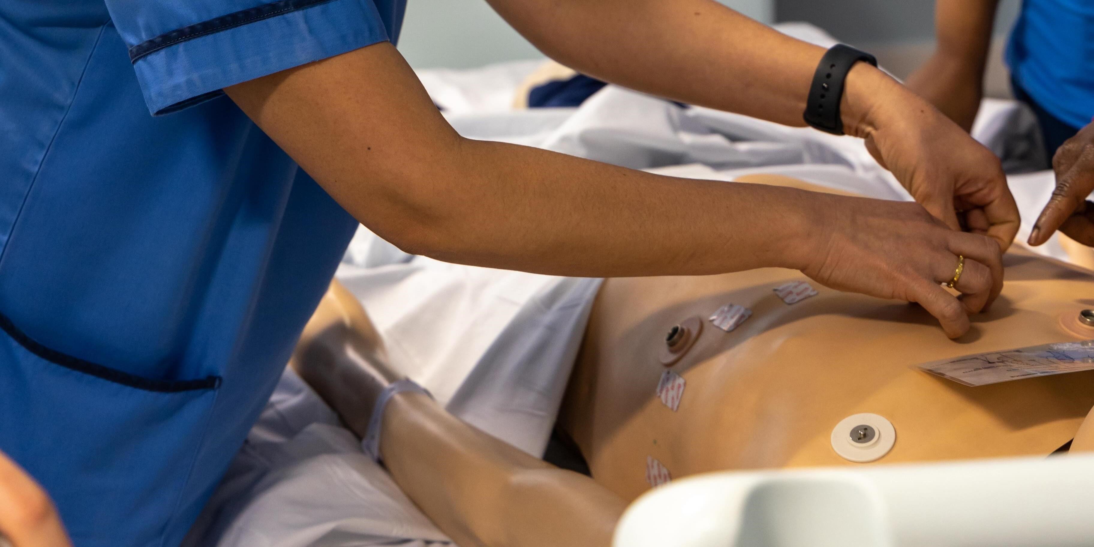 A student practicing the placement of ECG leads on a manikin A student practicing the placement of ECG electrodes on a manikin